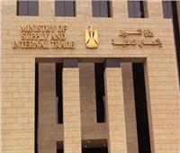 إضافة جميع المستحقين.. 5 مفاجآت سارة من وزير التموين للمواطنين| فيديو