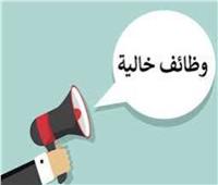 «فرص عمل للشباب».. ملتقى توظيفي جديد غدًا في الجيزة
