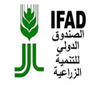 نائب وزير الزراعة يبحث في روما تقييم المشروعات المشتركة مع «إيفاد»