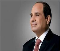 الرئيس السيسي يصل إلى أرض الوطن بعد زيارته لإسبانيا والمشاركة باجتماع الرياض