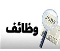 براتب 49 ألف جنيه..وظائف جديدة بدولة خليجية 