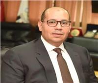 10 ملايين جنيه تعويض| الجنح الاقتصادية تعاقب رويدا أشرف بتهمة نشر أخبار كاذبة