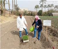 معمل الزراعة العضوية يطلق تجربة حقلية جديدة لتقييم المبيدات الحيوية