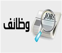 براتب 9000 جنيها.. «العمل» تعلن عن 140 وظيفة جديدة