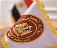 براتب يصل لـ9000 جنيه.. «العمل» تعلن عن 120 وظيفة للشباب بالمنيا