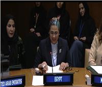 أمل عمار: مصر حققت تقدمًا ملموسًا في تمكين المرأة اقتصاديًا