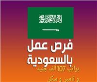 وظائف في السعودية براتب 107 ألف جنيه.. تعرف على الشروط والتقديم