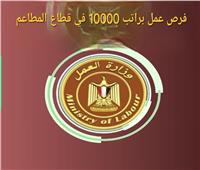 براتب 10000 جنيه .. العمل تعلن عن 90 وظيفة في قطاع المطاعم‎