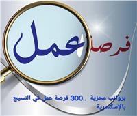 برواتب محزية وتأمينات  ..  300 وظيفة للشباب في صناعة النسيج بالإسكندرية