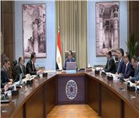 رئيس الوزراء يتابع موقف توافر الأدوية والمستلزمات الطبية 