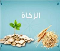زكاة الفطر فلوس أم طعام؟.. الدكتور سيد نجم يوضح