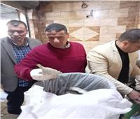 ضبط أسماك مملحة مجهولة المصدر بكفر الشيخ
