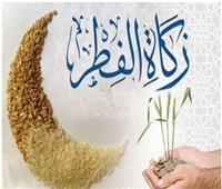 الإفتاء توضح: إخراج زكاة الفطر بعد صلاة العيد يقع أداءً وليس قضاءً