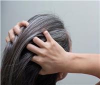 أكلات صحية تؤخر ظهور الشعر الأبيض