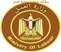وظائف شاغرة بوزارة العمل .. تعرف على الشروط وطريقة التقديم
