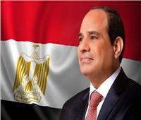 قرار جمهوري بازالة صفة النفع العام عن 7 قطع أراضي