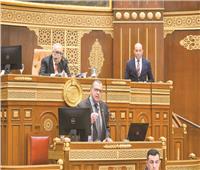 تطوير الجمارك على مائدة «الشيوخ» ..استراتيجية جديدة من «المالية» لتقليل زمن الإفراج إلى يومين
