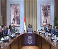 رئيس الوزراء يتابع موقف مشروعات إنتاج الهيدروجين الأخضر