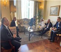 وزير الزراعة يبحث تعزيز الاستثمارات مع أمين مجلس الأعمال الكويتي المصري
