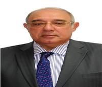 يوفر 30٪ من الكهرباء المستخدمة.. تفاصيل مقترح تحويل مصر إلى مركز إقليمي للطاقة الشمسية