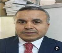 زراعة الأقصر: توريد إنتاجية 10704 فدان من محصول قصب السكر 