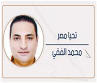 محمد الفقي يكتب: بين التنمية والعدالة الاجتماعية.. هل يمكن إنقاذ ترسا والمنيب؟