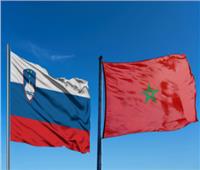 المغرب وسلوفينيا تؤكدان رغبتها في تعزيز الشراكة بكافة المجالات