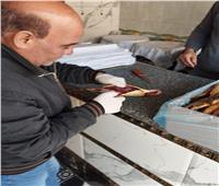 الطب البيطري بالغربية يضبط 8.5 طن أسماك مملحة غير صالحة للاستهلاك 