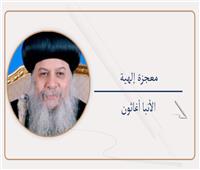                             معجزة إلهية