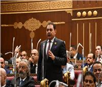 برلماني: الأمن الغذائي قضية أمن قومي ويجب بناء منظومة زراعية متكاملة