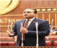 برلمانى ينتقد غياب التنسيق الحكومي في شأن الملف الزراعي‎
