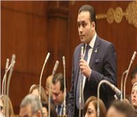 برلماني: الدولة المصرية تقوم بجهود كبيرة في تحقيق الأمن الغذائي