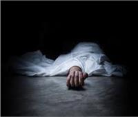 بسبب معاكسة أخته.. شاب ينهي حياة طالب جامعي ويصيب صديقه بكفر الدوار