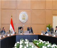 وزيرة البيئة: حماية الطيور المهاجرة مسؤولية وطنية