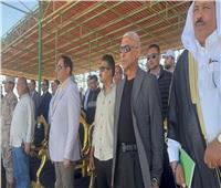 انطلاق فعاليات مهرجان الهجن احتفالاً بعيد تحرير سيناء