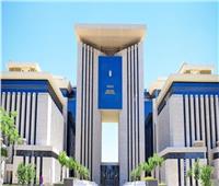 عودة خدمات الدعم الفني لتطبيق مبادرة استيراد سيارات المصريين بالخارج