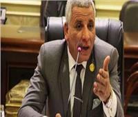 قوى عاملة النواب: ثمرة الإنجازت ستظهر في العلاوات وزيادة المعاشات