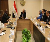 وزير الكهرباء يبحث مع مؤسسة التمويل الدولية التعاون في مجالات الطاقة المتجددة