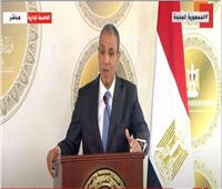 وزير الخارجية: الاتفاق على تدشين خط طيران مباشر بين مصر والجبل الأسود