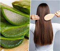 «بدون علاجات».. طرق استخدام جل الصبار لفراغات شعرك
