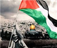 باحث بمرصد الأزهر: دعمنا للقضية الفلسطينية مستمر ونشارك فيها الشباب 