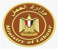 براتب 9000 جنيه..العمل تعلن عن 304 وظائف مختلفة للشباب