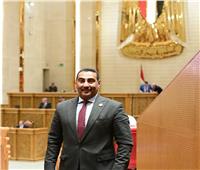 برلماني يتقدم بطلب إحاطة بشأن غش المواد البترولية وتقاعس الوزارات المعنية‎