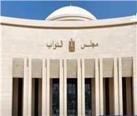 «النواب» يفتتح الجلسة العامة لمناقشة قانون مزاولة مهنة الصيدلة‎