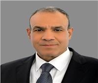 وزير الخارجية: قمة ثلاثية مصرية عراقية أردنية تعقد على هامش «قمة بغداد»