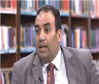 «علاوي»: تعزيز الشراكة العربية ضروري لإحياء القضية الفلسطينية 