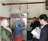 ضبط نصف طن أسماك ولحوم مجهولة المصدر بكفر الشيخ 