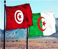 وزيرا خارجيتي تونس والجزائر يبحثان في بغداد العلاقات الثنائية والتطورات الإقليمية والدولية