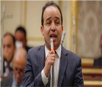 «برلماني»: التغيرات السكانية أوجبت على المشرع تعديل الدوائر الانتخابية