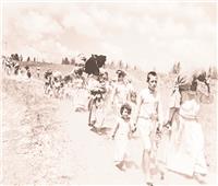 الحالية أكثر| 77 عامًا على النكبة.. وفرصة أخيرة لحل الدولتين